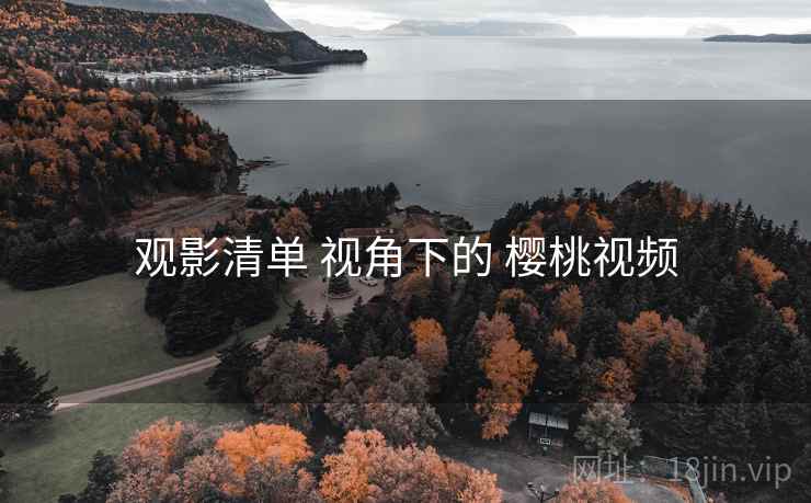 观影清单 视角下的 樱桃视频  第1张