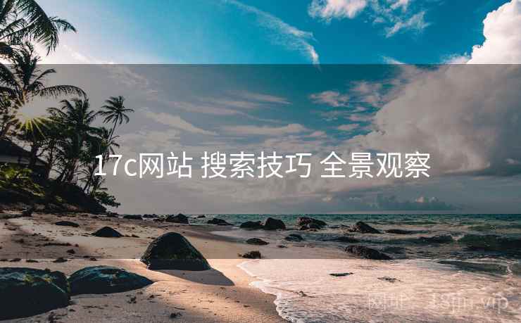 17c网站 搜索技巧 全景观察  第1张