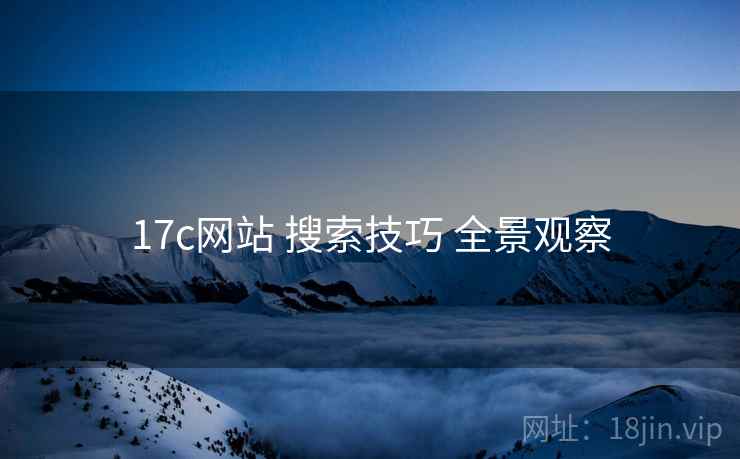 17c网站 搜索技巧 全景观察  第2张