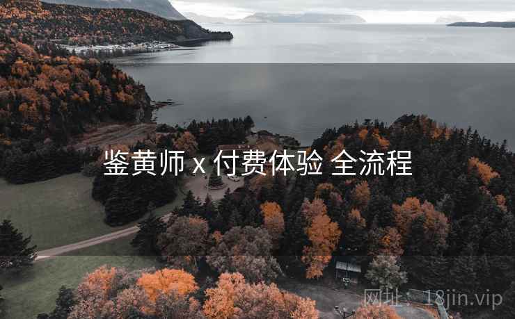 鉴黄师 x 付费体验 全流程  第2张