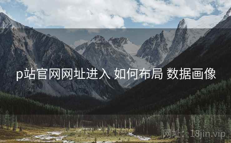 p站官网网址进入 如何布局 数据画像  第1张
