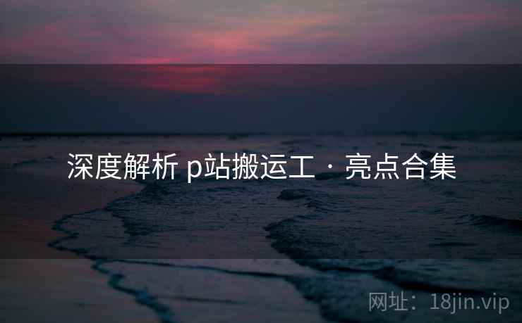 深度解析 p站搬运工 · 亮点合集  第2张