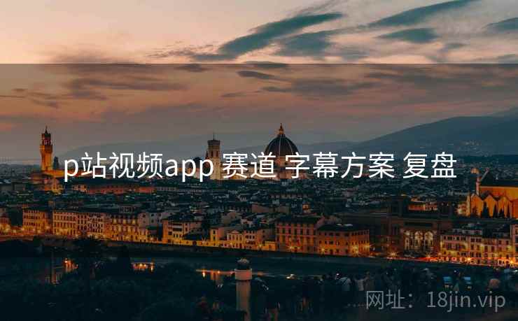p站视频app 赛道 字幕方案 复盘  第2张