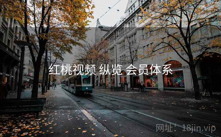 红桃视频 纵览 会员体系  第1张