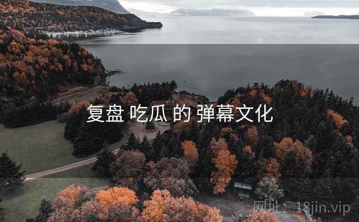 复盘 吃瓜 的 弹幕文化  第1张