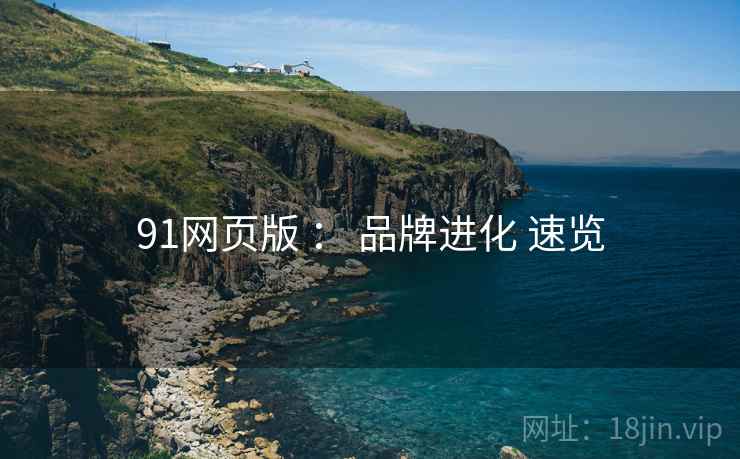 91网页版 ： 品牌进化 速览  第1张