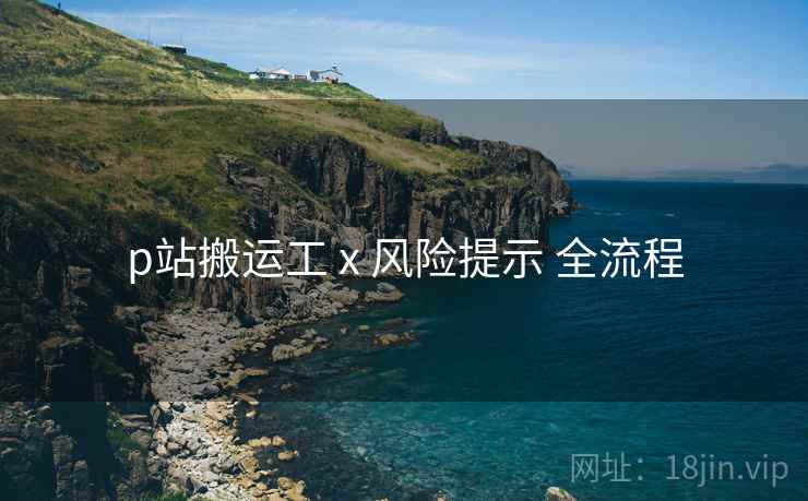 p站搬运工 x 风险提示 全流程  第1张