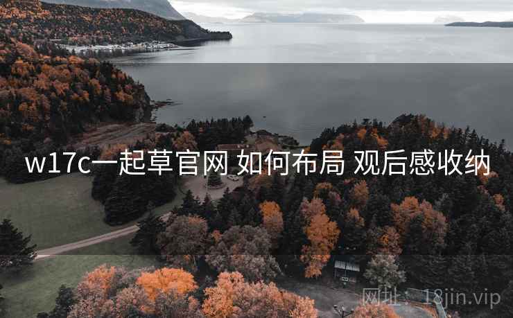 w17c一起草官网 如何布局 观后感收纳  第2张