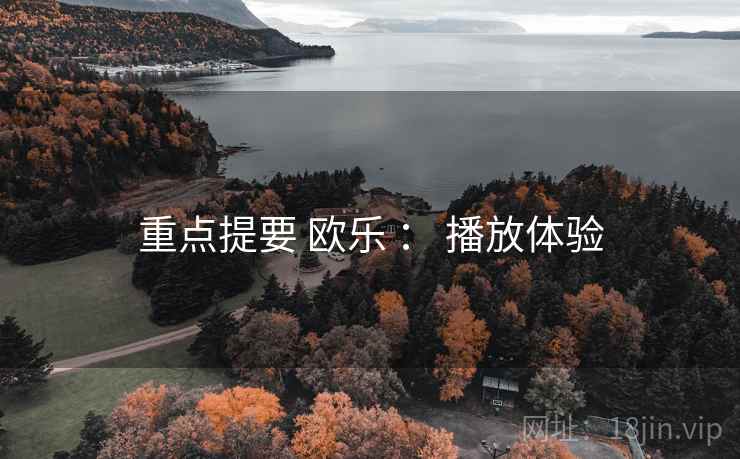 重点提要 欧乐 ： 播放体验  第2张