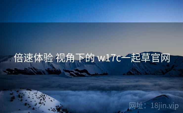 倍速体验 视角下的 w17c一起草官网  第2张