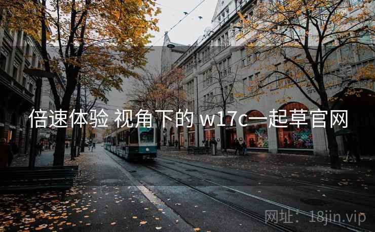 倍速体验 视角下的 w17c一起草官网  第1张